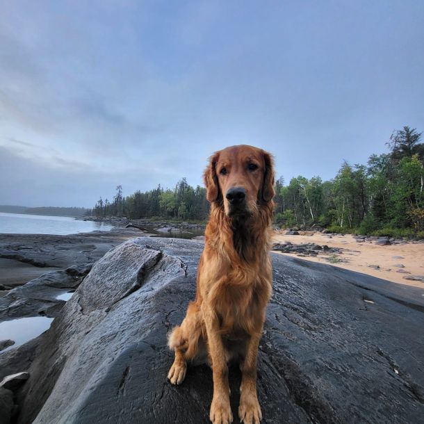 Ba87730e 0636 41a4 94ce ade5f1533ac7